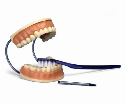 Poetsgebit model demonstratiemodel