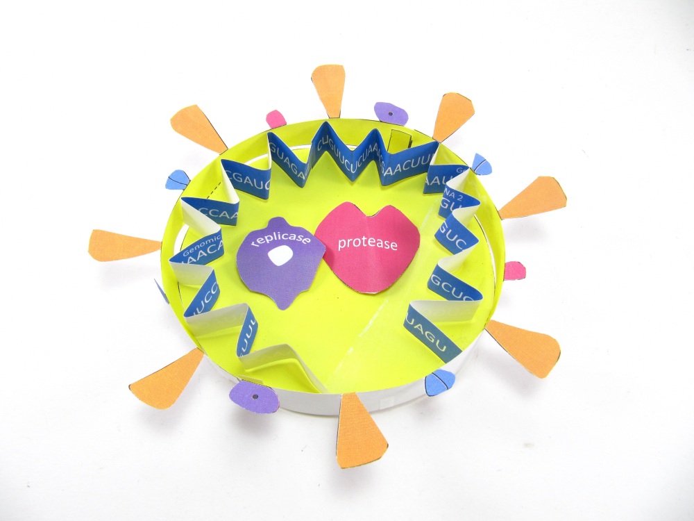 Coronavirus COVID-19