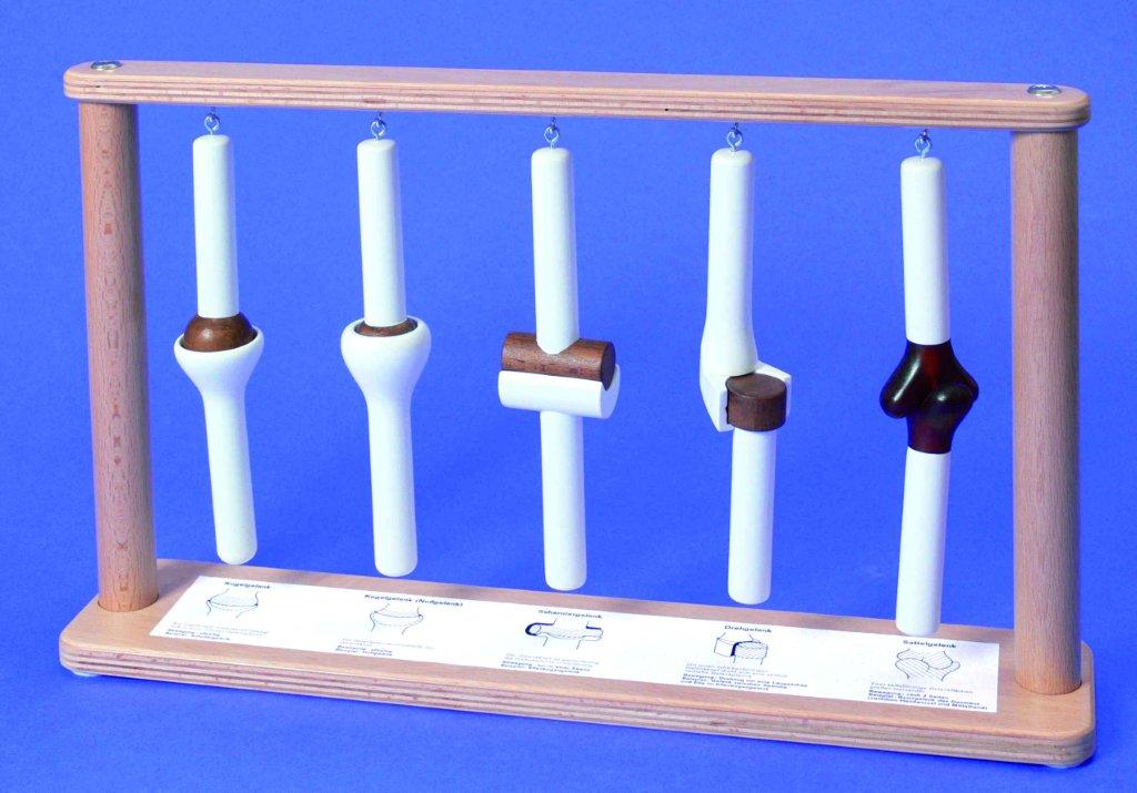 Scharniergewrichten mens