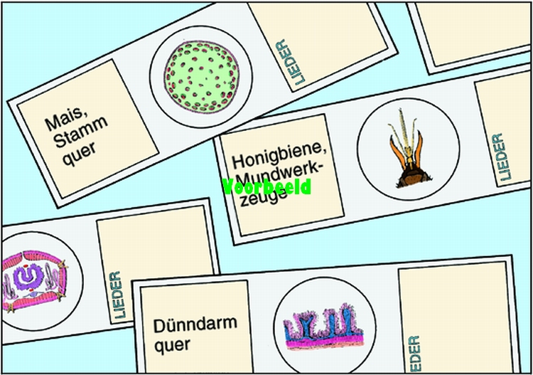 School Set A, Algemene Biologie