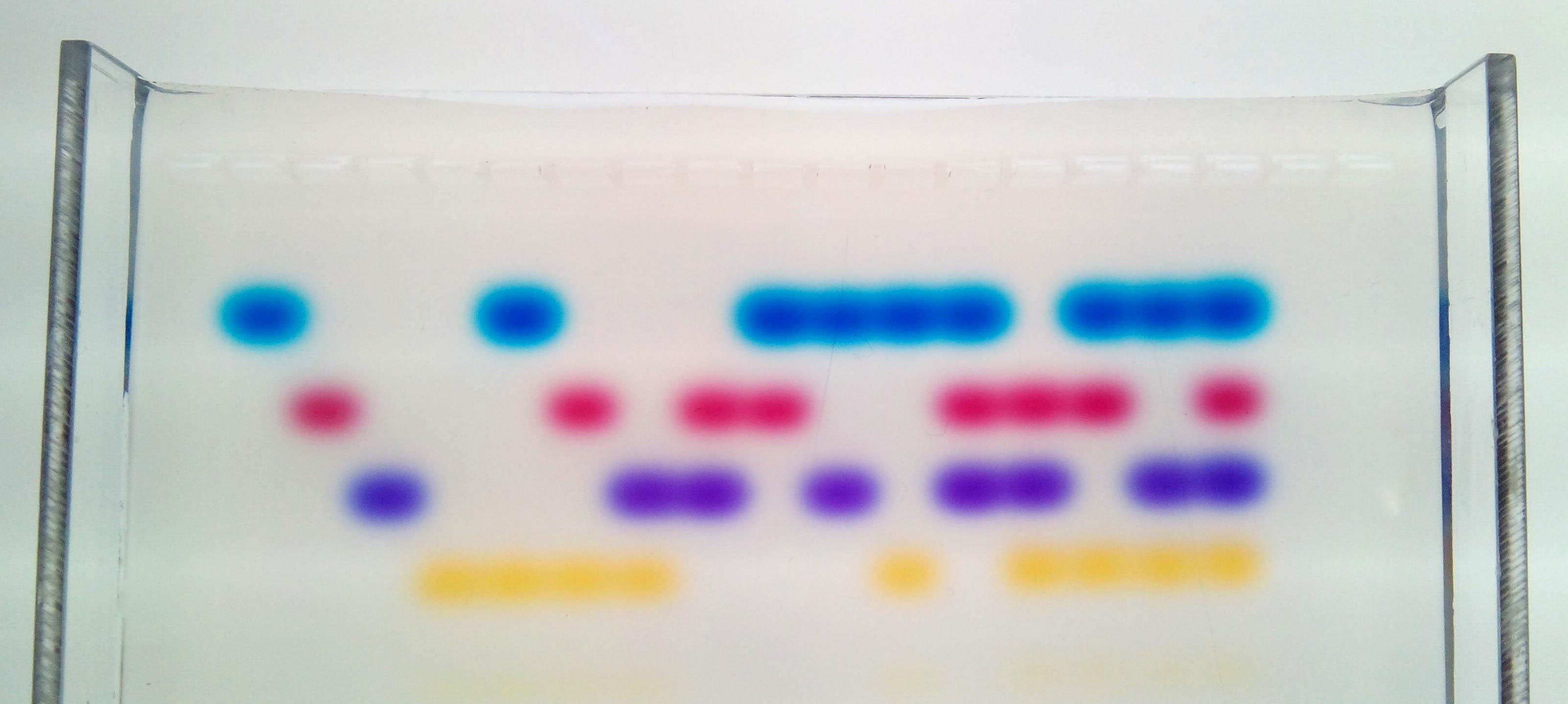 Gel-elektroforese kennismaking dye kit