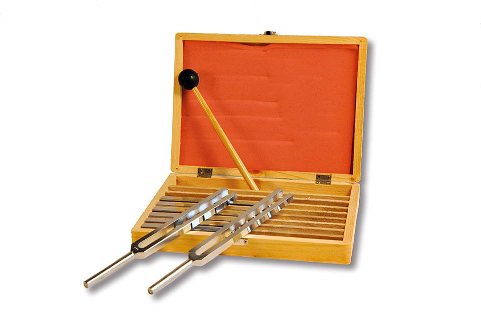 Set van 4 stemvorken