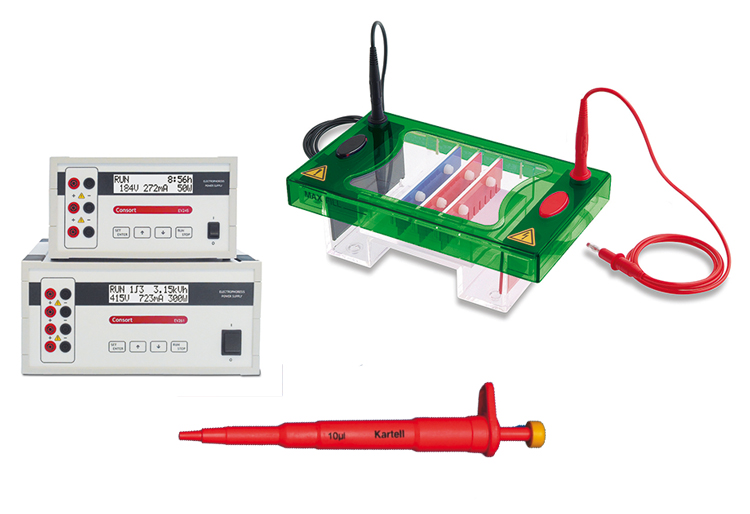 Elektroforese klassenset (hardware)
