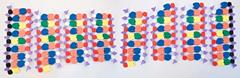 PCR Puzzel