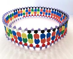 DNA / Plasmide bouwset