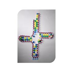 Transfer RNA (tRNA)bouwset